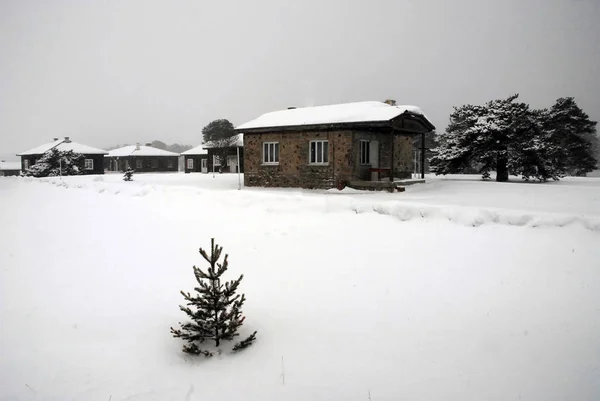 Vinter Aladag Plateau Bolu Provins Turkiet — Stockfoto