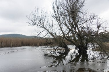 Yayla Gölü, Denizli ilinin Buldan ilçesinde.