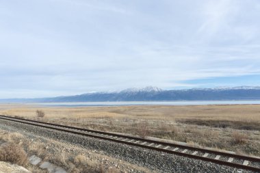 Acigol, Türkiye'nin iç Ege Bölgesi'nde, kavşakta endike bir havzada yer alan bir göldür. Gölün çevresindeki ilçe ve ilçeler batıdan doğuya, Bozkurt, Cardak, Çankırı, Dazkırı ve Başmakçı ilçeleridir..