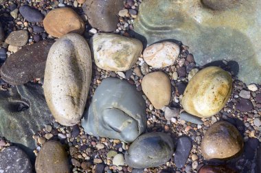 Arka plan için sahilde Çakıllar.