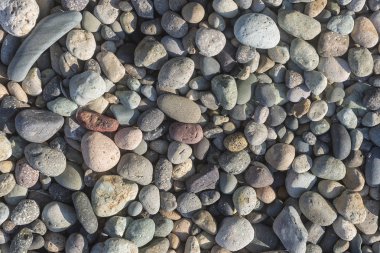 Arka plan için sahilde Çakıllar.