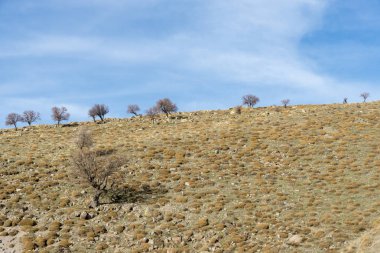 Antik Degle Karaman.Karada yerlerde merkezi ilinde bir köy, köy birçok erken Hıristiyan kalıntıları vardır. Roma'nın Lycaonia eyaletindeki Barata antik kentinin bulunduğu bölgede yer almaktadır.