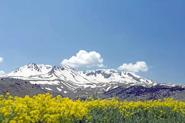 Davraz Dağı Isparta Nın Toros Dağları Içinde Bir Dağ Kış — Stok fotoğraf
