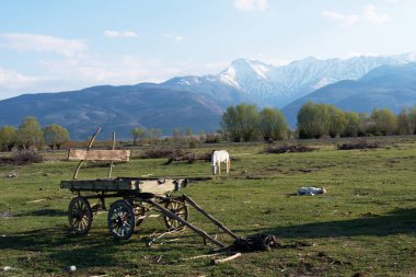 Afyon 'un Cay ve Bolvadin ilçeleri arasında yer alan Eber Gölü, Türkiye' nin 12. büyük gölüdür.
