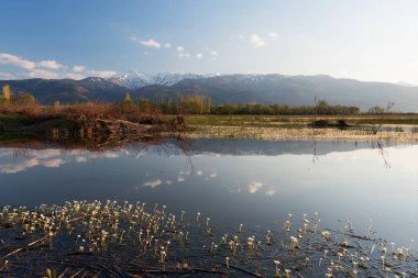 Afyon 'un Cay ve Bolvadin ilçeleri arasında yer alan Eber Gölü, Türkiye' nin 12. büyük gölüdür.