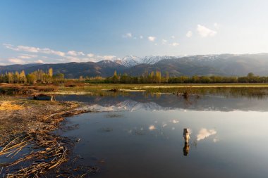 Afyon 'un Cay ve Bolvadin ilçeleri arasında yer alan Eber Gölü, Türkiye' nin 12. büyük gölüdür.