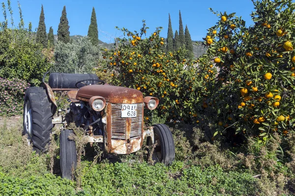 Der Alte Traktor Orangefarbenen Feld — Stockfoto