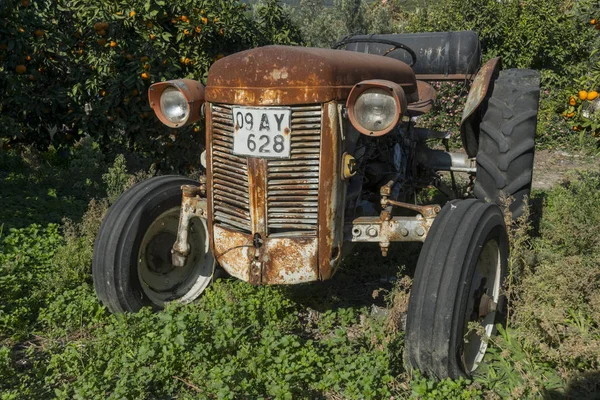 Старий Трактор Помаранчевому Полі — стокове фото
