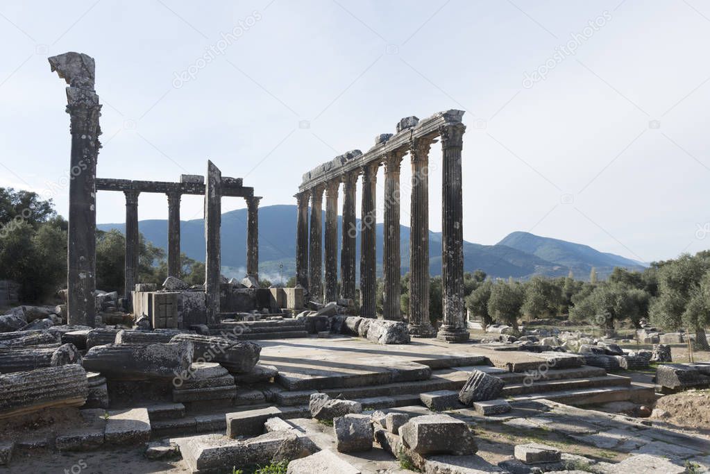 Euromos ruins, located just off the Soke-Milas road, are frequently overlooked by travelers who do not realize that an olive grove hides one of the best preserved ancient temples in Asia Minor. Meanwhile, if you just turn off the road as indicated by