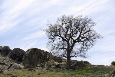 Fasillar anıtı, iki aslan arasında bir dağ tanrısının üzerinde duran, dağlık bir tapınakta resmedilen Hitit Fırtına Tanrısı'nın büyük bir heykelidir. Konya'nın Beyşehir ilçesine bağlı Fasllar köyünün batısında, bir tepenin yamacında yer alır.