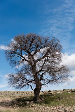 Fasillar anıtı, iki aslan arasında bir dağ tanrısının üzerinde duran, dağlık bir tapınakta resmedilen Hitit Fırtına Tanrısı'nın büyük bir heykelidir. Konya'nın Beyşehir ilçesine bağlı Fasllar köyünün batısında, bir tepenin yamacında yer alır.