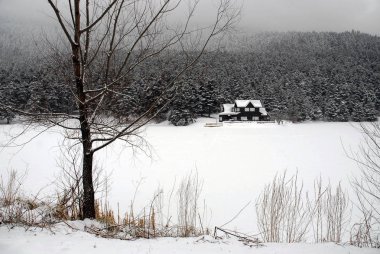 Bolu ili Gölcük Milli Parkı'nda donmuş göl.