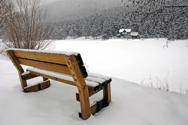 Frozen Lake Golcuk Nationalpark Bolu Provins Turkiet — Stockfoto