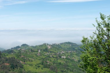 Çamburnu, Türkiye'nin kuzeydoğusunda küçük bir kasabadır.İlçe, dağları ve güzel sahil şeridi ile ünlüdür. Trabzon,Surmene.