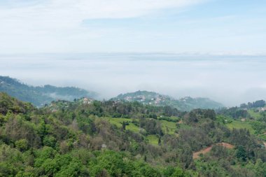 Çamburnu, Türkiye'nin kuzeydoğusunda küçük bir kasabadır.İlçe, dağları ve güzel sahil şeridi ile ünlüdür. Trabzon,Surmene.