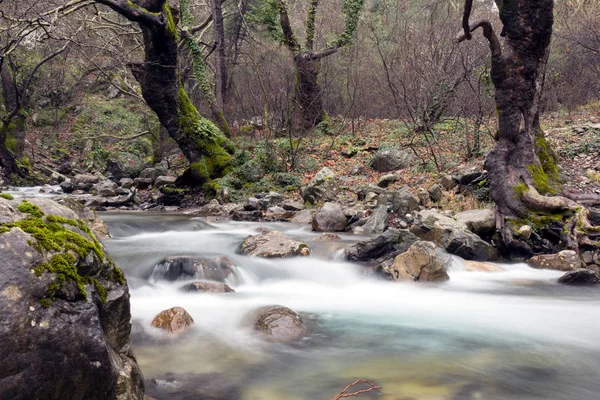 Rivière Hasanboguldu Les Chutes Eau Dans District Edremit Dans Province — Photo