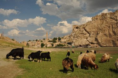 Hasankeyf is an ancient town and district located along the Tigris River in the Batman Province in southeastern Turkey. It was declared a natural conservation. clipart