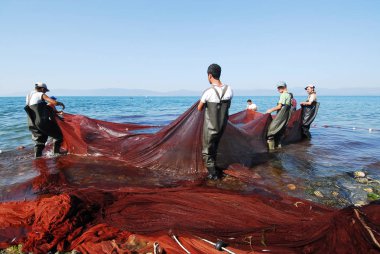 02 Eylül 2008 İznik Bursa Türkiye.Kıyı balıkçılığı. İznik Gölü'nde ağı alan balıkçı.