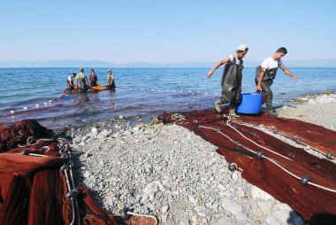 02 Eylül 2008 İznik Bursa Türkiye.Kıyı balıkçılığı. İznik Gölü'nde ağı alan balıkçı.