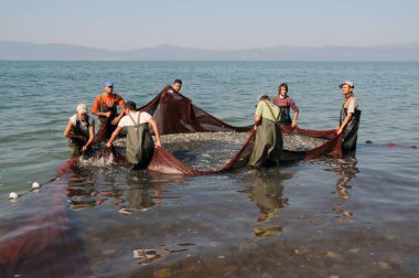 02 Eylül 2008 İznik Bursa Türkiye.Kıyı balıkçılığı. İznik Gölü'nde ağı alan balıkçı.