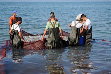 02 Eylül 2008 İznik Bursa Türkiye.Kıyı balıkçılığı. İznik Gölü'nde ağı alan balıkçı.