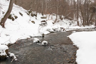 Kırklareli İli İğneada Bölgesi'nin sulu ormanı.