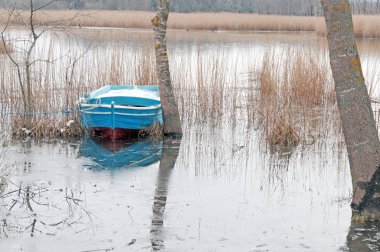 Kırklareli İli İğneada İli Sulu Ormanı.