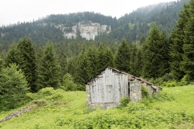 Trabzon ili Maçka Ili'nin Iskopil yaylası Türkiye.Sis sisli bir günde tepeleri kaplıyor.