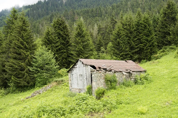 Das Iskopil Plateau Der Macka Provinz Trabzon Stadt Türkei Nebel — Stockfoto