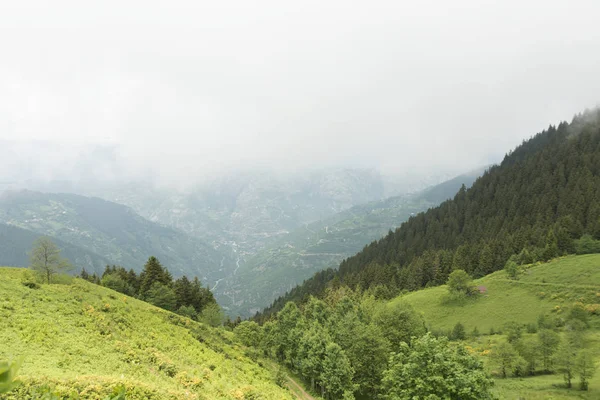 Iskopil Plateau Macka Province Trabzon City Turkey Fog Covers Hills — Stock Photo, Image