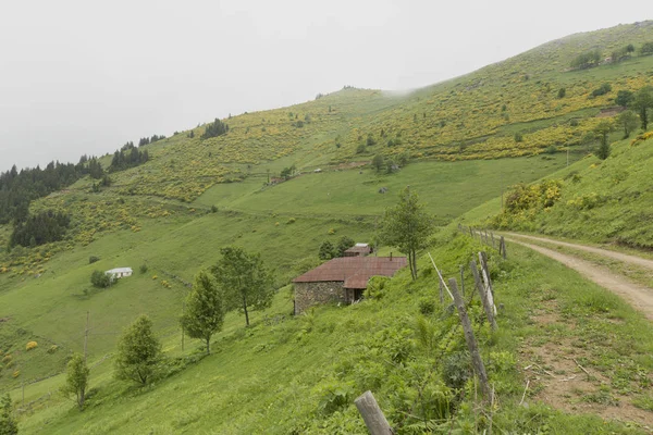 Das Iskopil Plateau Der Macka Provinz Trabzon Stadt Türkei Nebel — Stockfoto