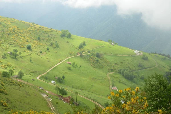 Iskopilská Plošina Provincii Macka Městě Trabzon Mlha Pokrývá Kopce Mlhavém — Stock fotografie