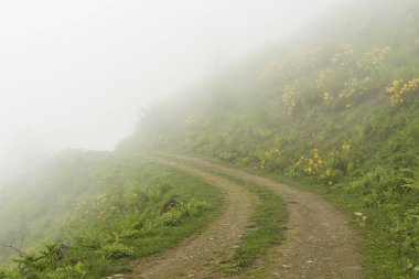 Trabzon ili Maçka Ili'nin Iskopil yaylası Türkiye.Sis sisli bir günde tepeleri kaplıyor.