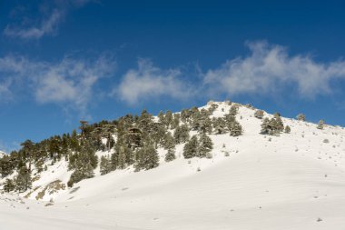 Dağlar karla kaplı. Arka plan için.