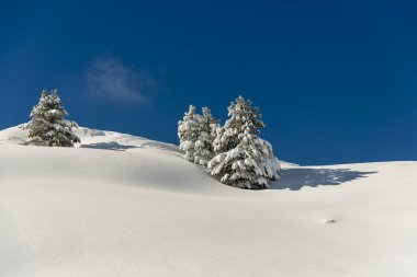Dağlar karla kaplı. Arka plan için.