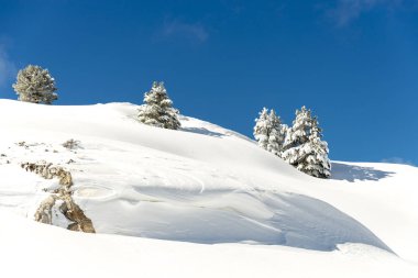 Dağlar karla kaplı. Arka plan için.