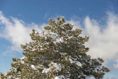 Dağlar karla kaplı. Arka plan için.