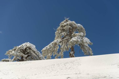 Dağlar karla kaplı. Arka plan için.
