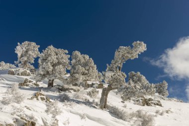 Dağlar karla kaplı. Arka plan için.