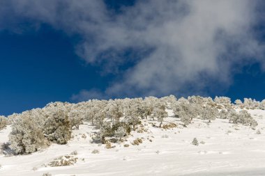 Dağlar karla kaplı. Arka plan için.