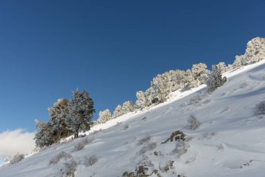 Dağlar karla kaplı. Arka plan için.
