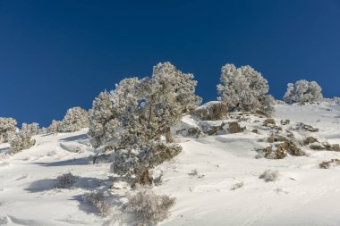 Dağlar karla kaplı. Arka plan için.