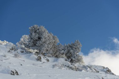 Dağlar karla kaplı. Arka plan için.
