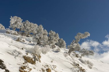 Dağlar karla kaplı. Arka plan için.