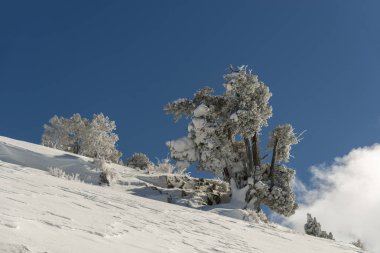 Dağlar karla kaplı. Arka plan için.