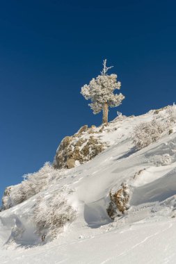 Dağlar karla kaplı. Arka plan için.