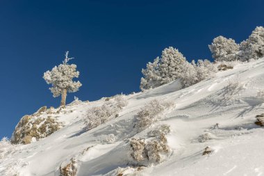 Dağlar karla kaplı. Arka plan için.