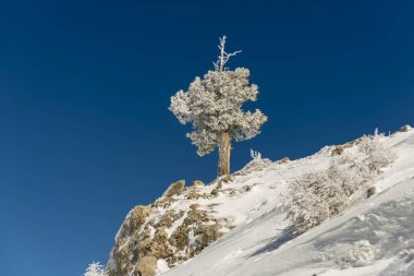 Dağlar karla kaplı. Arka plan için.