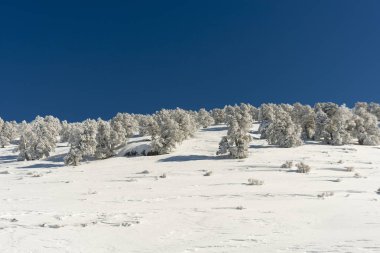 Dağlar karla kaplı. Arka plan için.