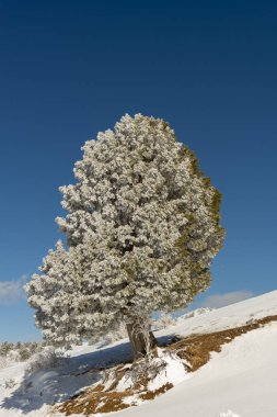 Dağlar karla kaplı. Arka plan için.